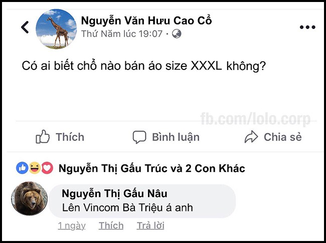 16 dong status cap nhat sieu bua cua be lu dong vat khi choi facebook