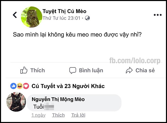 16 dong status cap nhat sieu bua cua be lu dong vat khi choi facebook