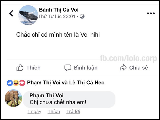 16 dong status cap nhat sieu bua cua be lu dong vat khi choi facebook