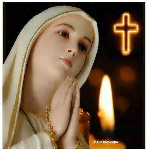 bao mau ac quy o truong mam non tinh yeu thuong tre gia tao tren facebook