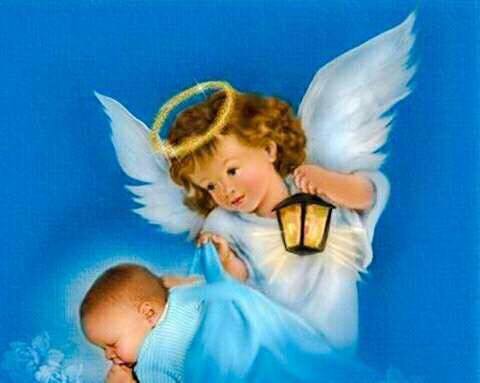 bao mau ac quy o truong mam non tinh yeu thuong tre gia tao tren facebook