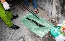 vu giet nguoi truoc quan oc o tphcm bat 2 doi tuong gay an