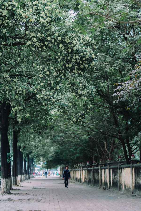 bi hoa sua hanh ha cu dan mang than khoc nguoi trong khong hieu y tho ca