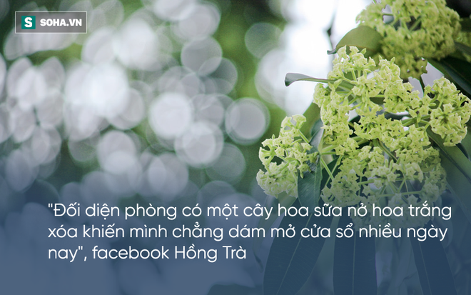 bi hoa sua hanh ha cu dan mang than khoc nguoi trong khong hieu y tho ca