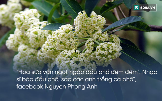 bi hoa sua hanh ha cu dan mang than khoc nguoi trong khong hieu y tho ca