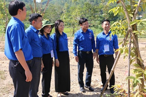 trung uong doan tinh doan nghe an dang huong va gan bien cong trinh thanh nien tai truong bon