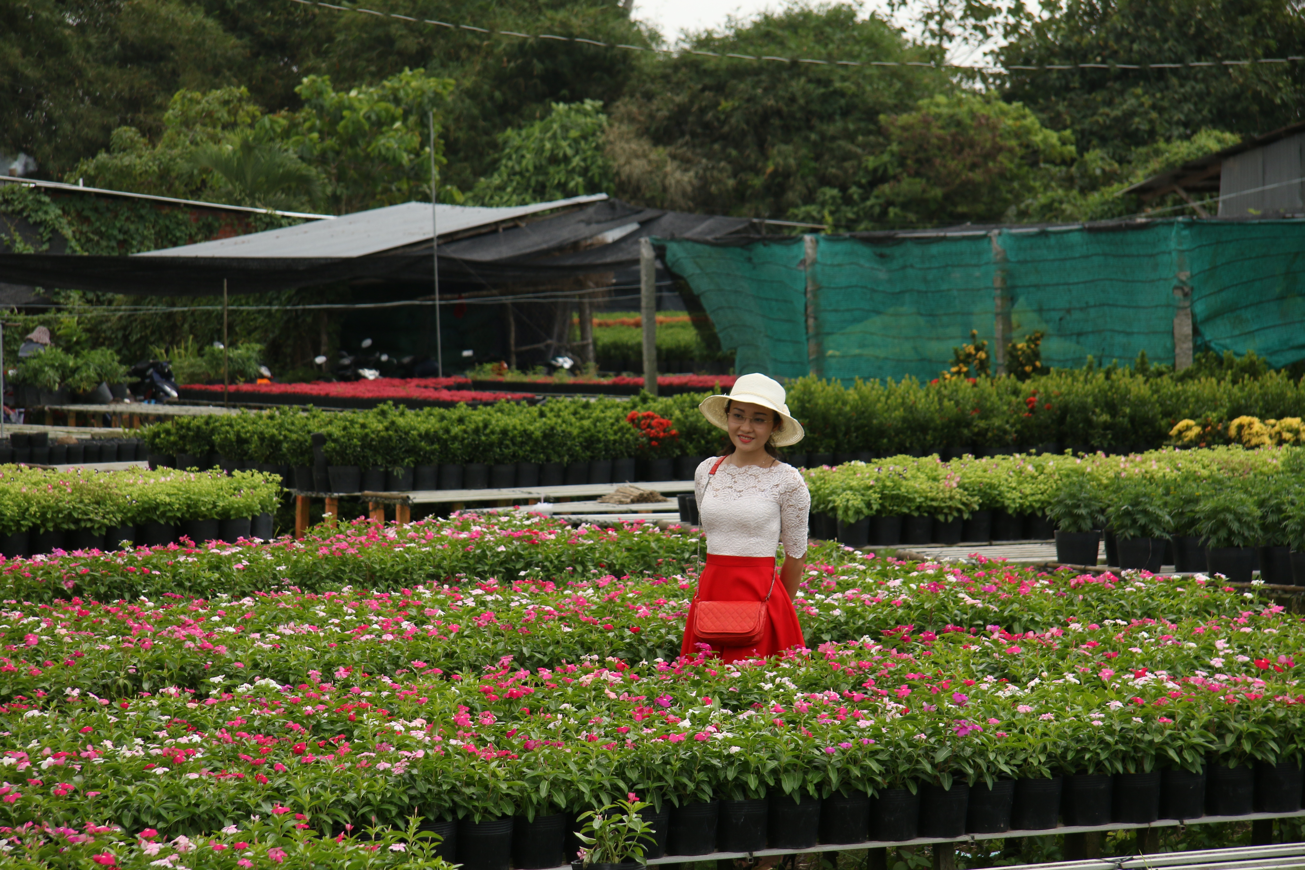 dong thap nhieu diem nhan dac sac tai le hoi hoa xuan 2019