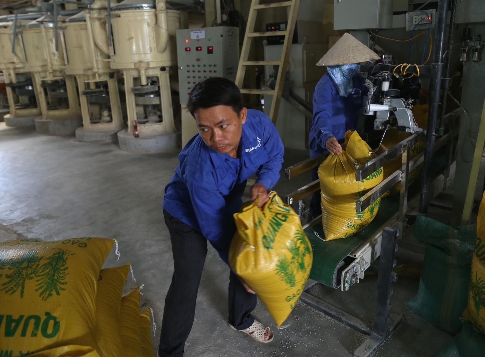 hat gao co the mang ve cho viet nam hon 3 ty usd trong nam nay