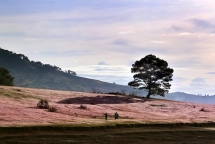 doi co hong lang man o da lat