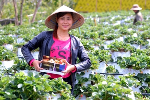 trong dau tay bang phuong phap treo hieu qua cao