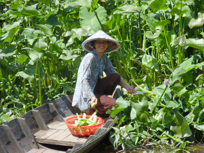 luc binh lang man voi muong va dua