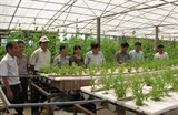Nhật Bản muốn hợp tác với Cần Thơ về nông nghiệp công nghệ cao