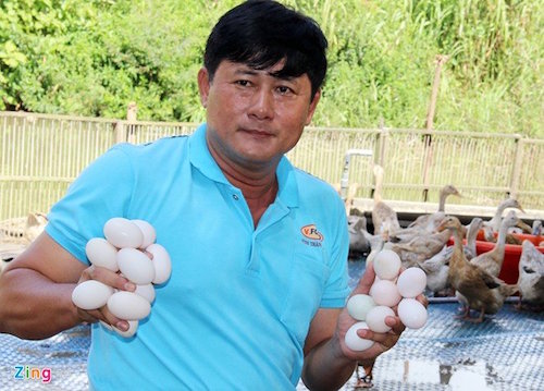 doc dao trung vit muoi 3 long do o mien tay