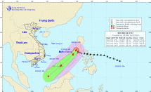 bao melor di vao bien dong