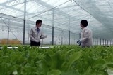 JICA hợp tác hình thành chuỗi giá trị nông sản tại Việt Nam
