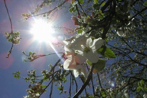 thoi tiet 2212 troi hung nang giua mua dong