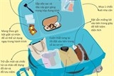 infographic bi quyet dong goi hanh ly dung cach khi di du lich