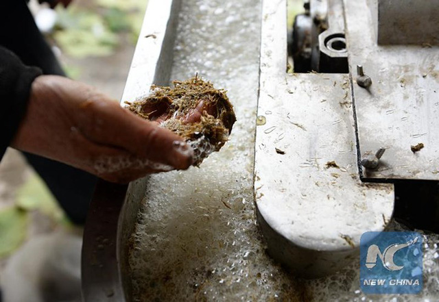 tha y gia o trung quo c pha t minh ra ca ch lam giay tu phan gau truc du a theo phuong phap co tu 2000 nam truoc