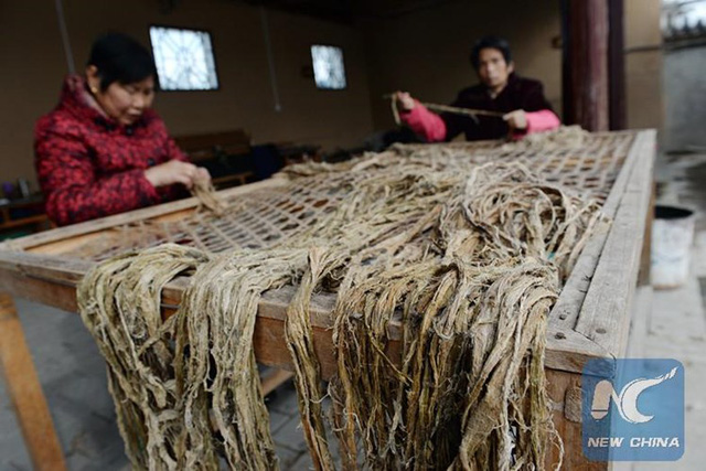 tha y gia o trung quo c pha t minh ra ca ch lam giay tu phan gau truc du a theo phuong phap co tu 2000 nam truoc