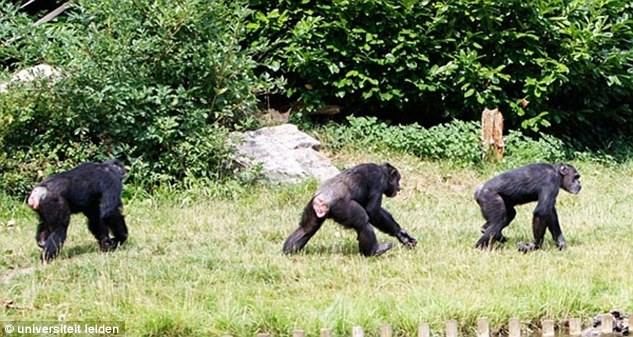 ban co biet tinh tinh chi can nhin mong lan nhau la biet het tat ca