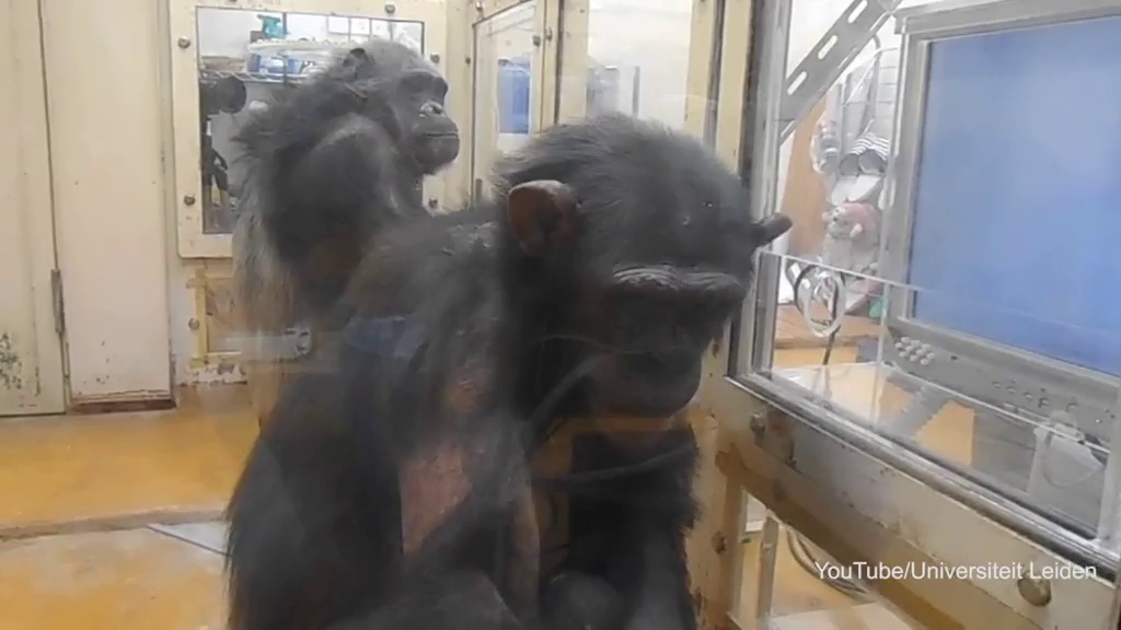 ban co biet tinh tinh chi can nhin mong lan nhau la biet het tat ca