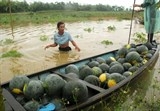 thu tuong yeu cau ung pho va khac phuc hau qua mua lu mien trung