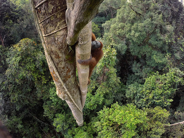 15 buc anh dep nhat the gioi nam 2016 do national geographic binh chon