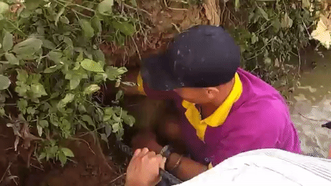 lanh gay canh nam thanh nien tay khong bat ran ho mang khung