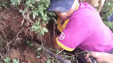 lanh gay canh nam thanh nien tay khong bat ran ho mang khung