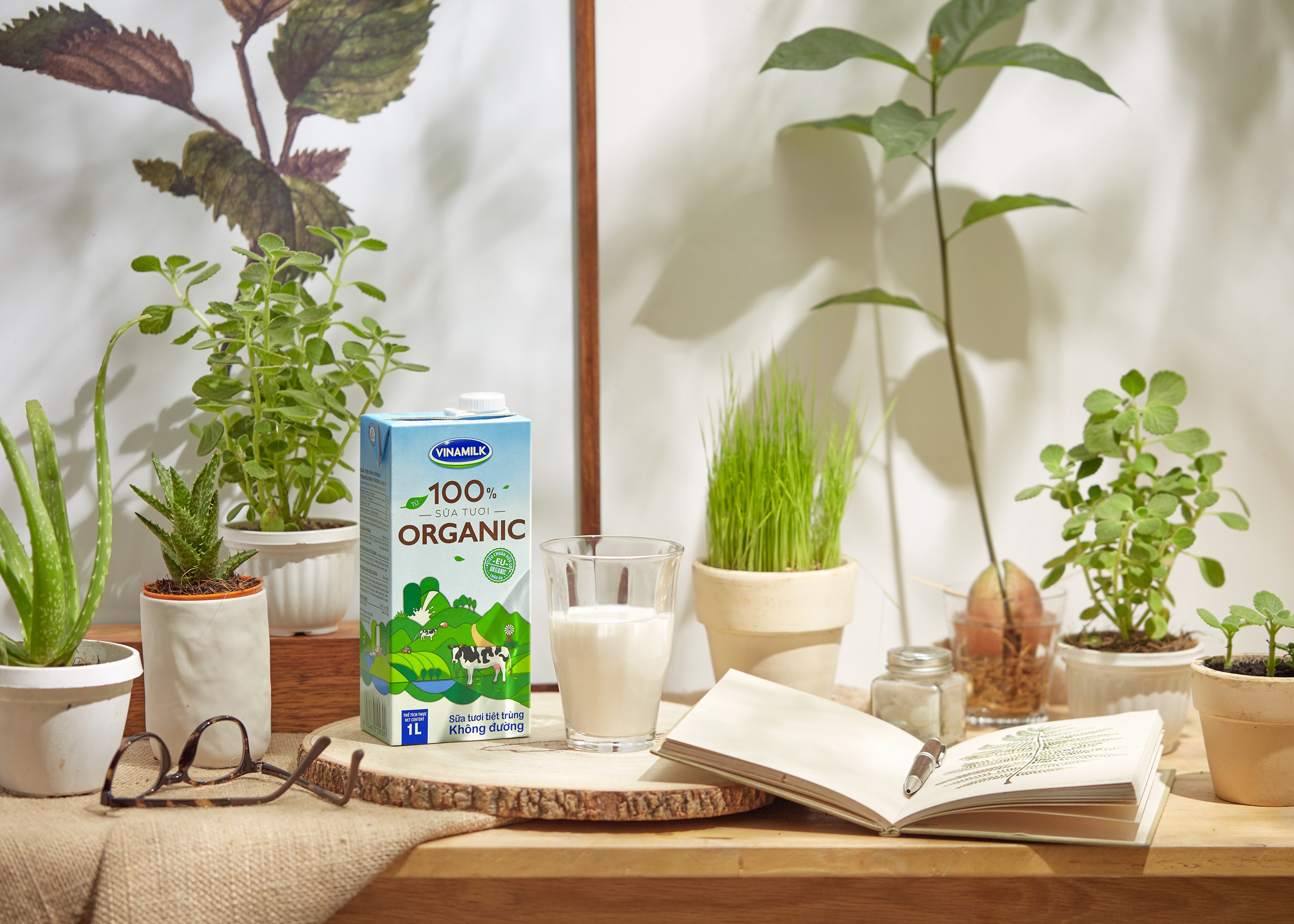 vinamilk chinh thuc ra mat san pham sua tuoi 100 organic dau tien duoc san xuat tai viet nam