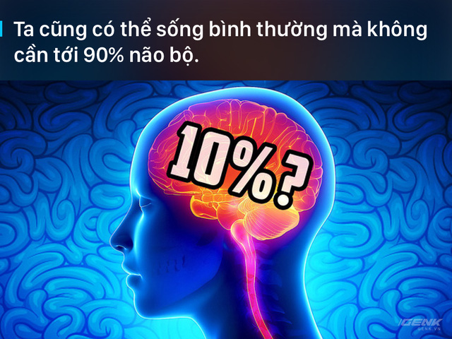 nam 2016 ky dieu va phi thuong hon ban tuong rat nhieu day la 20 su kien chung minh dieu do