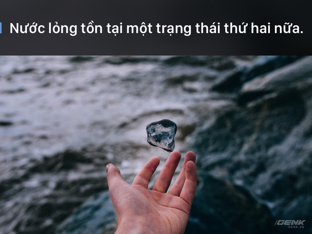 nam 2016 ky dieu va phi thuong hon ban tuong rat nhieu day la 20 su kien chung minh dieu do