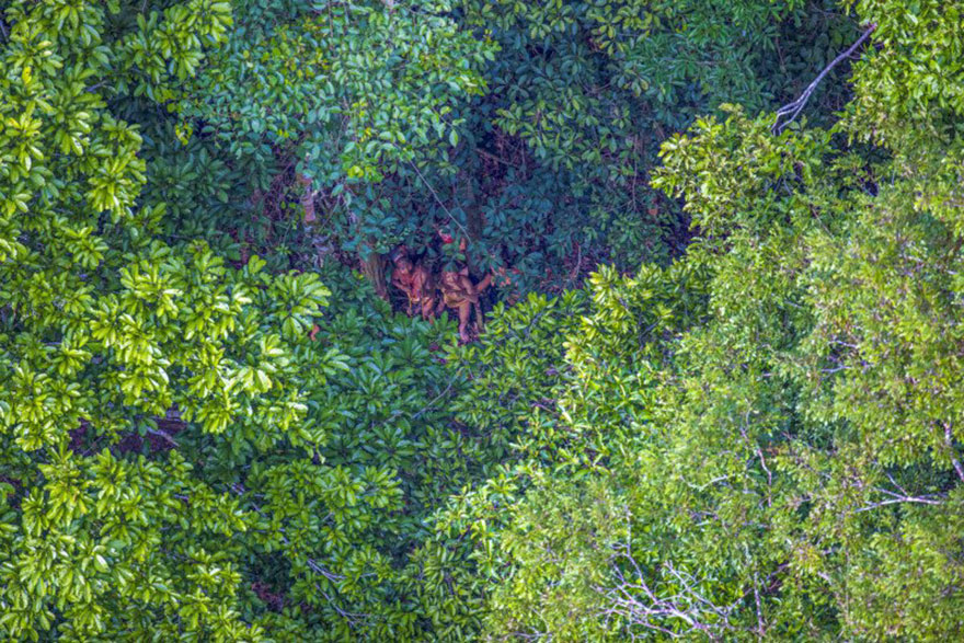 phat hien bo lac song nhu to tien cach day 20000 nam o brazil