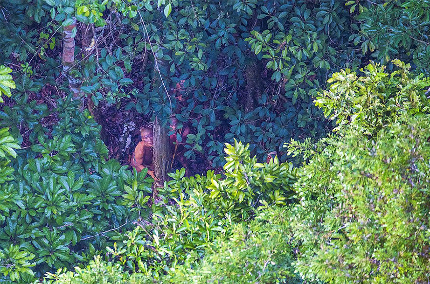 phat hien bo lac song nhu to tien cach day 20000 nam o brazil