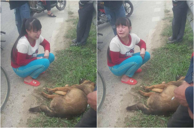 co be khoc nuc no ben canh chu cho bi tai nan ngay cuoi nam gay bao mang