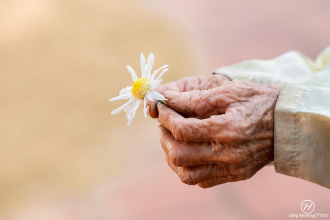 dan mang thich thu voi co nguoi mau 99 tuoi trong bo anh cuc hoa mi cuoi mua