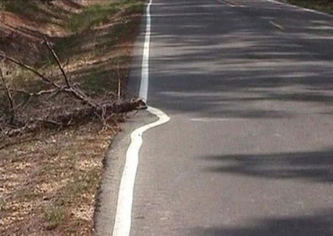 16 sang kien chua chay dinh cao cua nhung nguoi dai lan