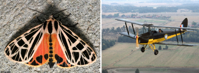 may bay tang hinh my ram ro do bo han quoc trieu tien che nhao sau cay