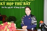 xay dung can tho thanh do thi hat nhan cua vung dong bang song cuu long