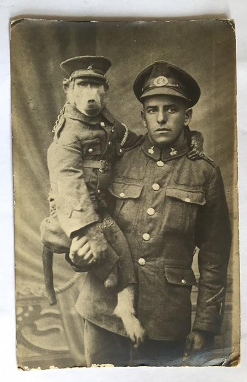 cuoc doi ky la cua chu khi dau cho jackie nguoi linh dung cam duoc vinh danh sau chien tranh the gioi thu nhat