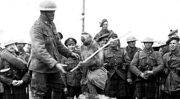 cuoc doi ky la cua chu khi dau cho jackie nguoi linh dung cam duoc vinh danh sau chien tranh the gioi thu nhat