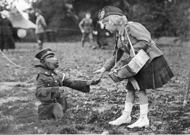 cuoc doi ky la cua chu khi dau cho jackie nguoi linh dung cam duoc vinh danh sau chien tranh the gioi thu nhat