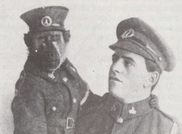 cuoc doi ky la cua chu khi dau cho jackie nguoi linh dung cam duoc vinh danh sau chien tranh the gioi thu nhat