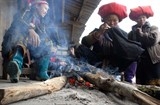 bac bo va trung bo mua ret vung nui cao nhiet do duoi 8 do c