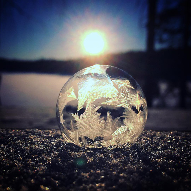 16 khung canh ky dieu chi co the nhin thay vao mua dong gia ret