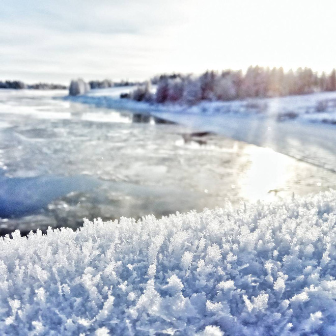 16 khung canh ky dieu chi co the nhin thay vao mua dong gia ret