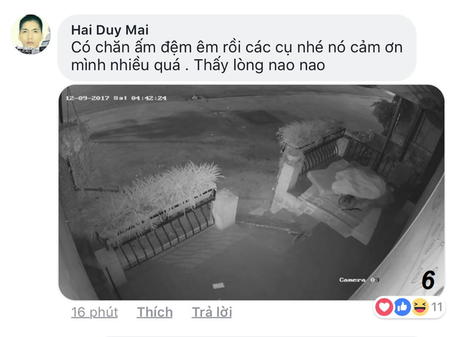 ninh binh thay nguoi la ngu trong san nha minh cach xu ly cua gia chu khien nhieu nguoi bat ngo