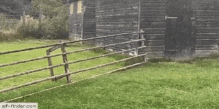 17 man trinh dien nhay nhot nhu phim chuong cua nhung chu cho