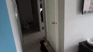 17 man trinh dien nhay nhot nhu phim chuong cua nhung chu cho