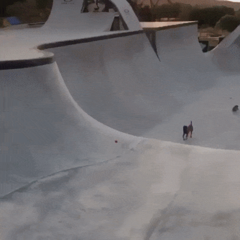 17 man trinh dien nhay nhot nhu phim chuong cua nhung chu cho